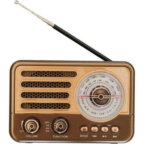 Enceinte Bluetooth - Radio FM AM SW - Portable Rechargeable - Lampe Torche D'Urgence - 3 W - 16,1 x 9,7 x 10,6 cm - 600 g (1/5)
