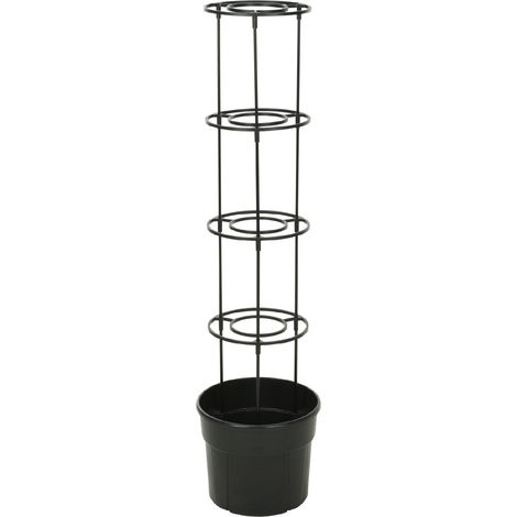 Rankentopf mit Spalier, H. 115 cm (1/2)