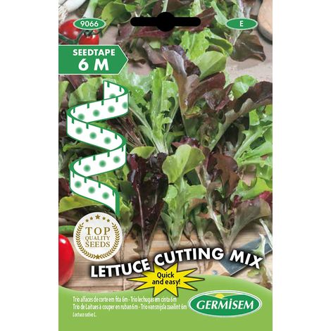 Germisem Lettuce Cutting Mix Semi di Ravanello su Nastro da 6 m
