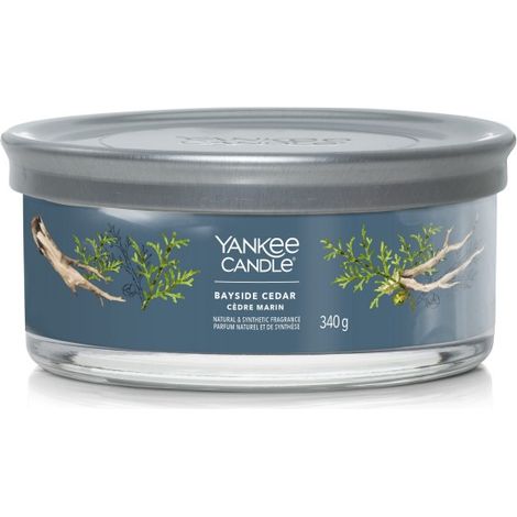 Vela aromática de vaso de 5 mechas Bayside Cedar - Yankee Candle Signature (1/4)