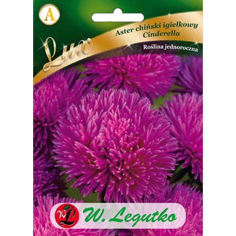 Aster cinese Cenerentola aghi rosso carminio 0,50 g Semi di Legutko