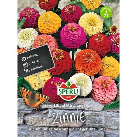 Sperli Zinnien Liliput Mischung - Blumensamen (1/4)