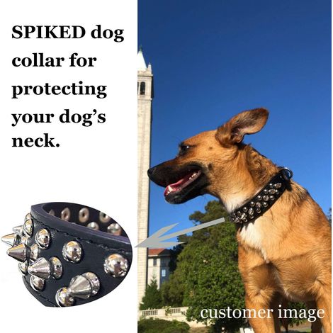 Collier de chien en cuir avec pointes pour chiots, animaux domestiques de petite et moyenne taille, bouledogue, fille, NOIR (S)