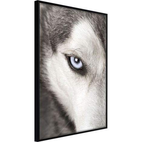 Affiche Murale Encadrée "Azure Eye" 30 x 42 cm Noir