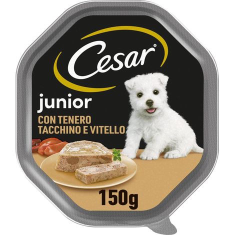 Cesar Junior Cibo per Cane Cucciolo Puppy con tenero Tacchino e Vitello 150 g - 14 vaschette
