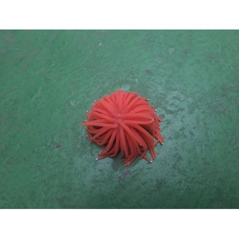 Anémone orange medium décoration aquariums (1/4)