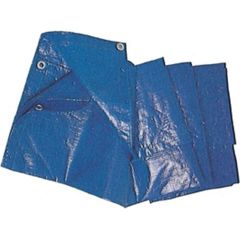C TELO OCCHIELLATO PE 8 X10M 85GR BLU- 1,0 pz