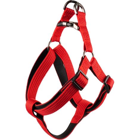 Harnais Jannu S 25-45 cm 15 mm  rouge pour chien - animallparadise (1/5)