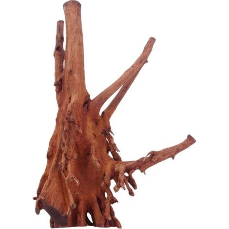 L Jungle Wood Wurzel Nr.4501 Holz Deko Aquascaping