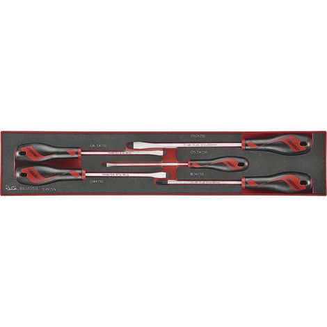 Jeu de tournevis Plat- Ph Foamx4 tray 5 pièces Teng Tools TEX915N (1/2)
