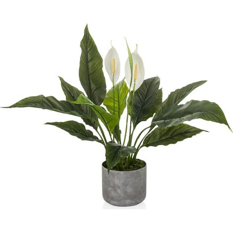 [NEUWERTIG] B-Ware hjh OFFICE Kunstpflanze Nachbildung Spathiphyllum 1 grün weiß Kunststoff 60x55cm (1/2)