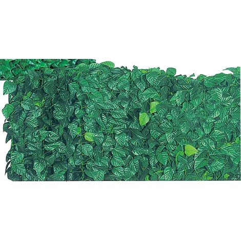 1ROTOLO ARELLE SEMPREVERDI LAURO MT. 1,00X20 (1/2)