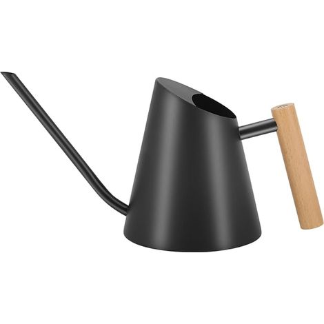 Metal Indoor Watering Can with Long Stainless Steel Spout, Black