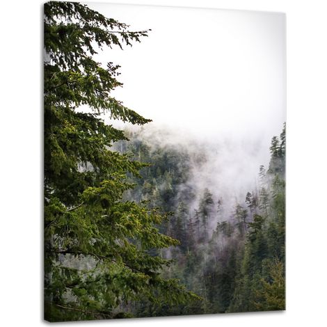 Leinwanddruck Natur Berge Nebelwald 30x40 cm