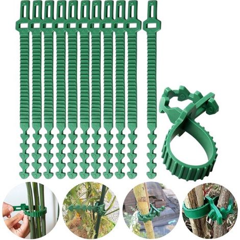 Attaches pour plantes Sangles de soutien pour arbres Attaches de jardin Clips de fixation pour plantes grimpantes (241,3 cm Vert) (1/5)