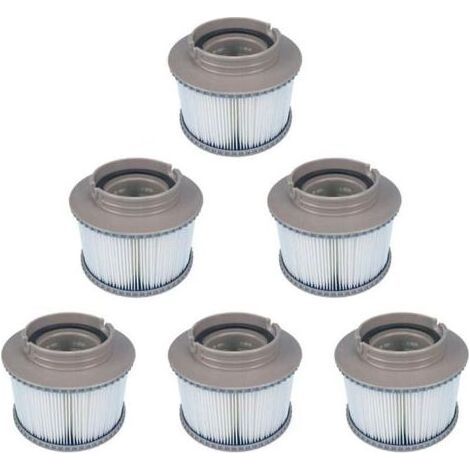 Filtre MSPA - Remplacement Pour Pompe Cartouche FD2089 - Compatible Tous Spas Gonflables MSPA - Lot De 6 (1/5)