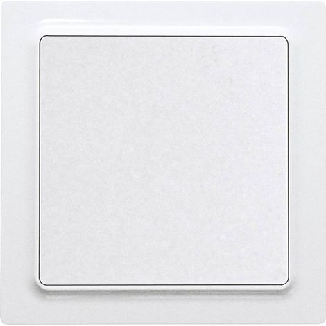 [NEUWERTIG] Eltako Wipptaster Schalter Weiß Einzeltaster Kunststoff Glänzend 250 V Ac 10 A B-Ware