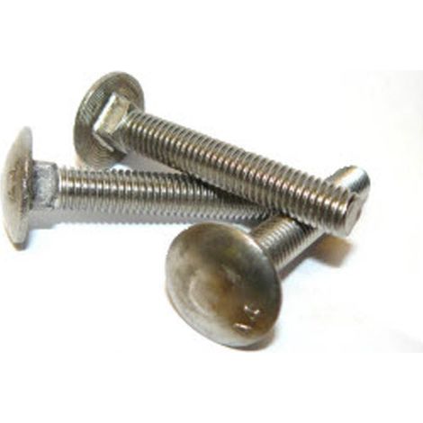 Mushroom Head Square Neck Screw (Cup Square / Coach bolts) M6 x 50 mm A4 Stainless Steel DIN603 (1/2)