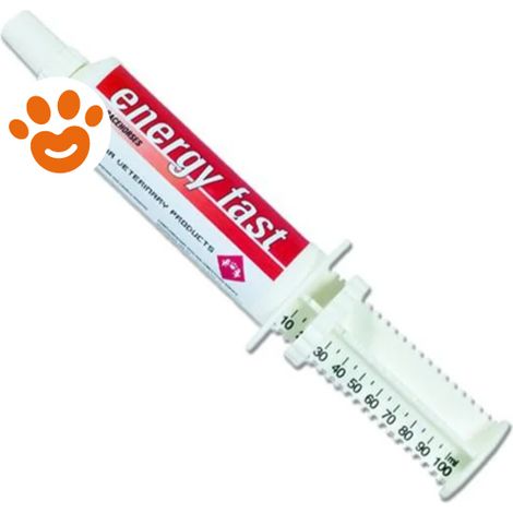 FM Italia Horse Energy Fast - Confezione 80 Gr -