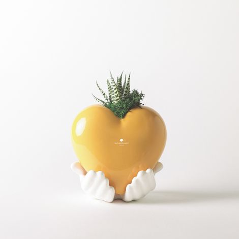 Pianta grassa vera vaso ceramica Made in Italy Cuoricino tra le Mani - Arancione