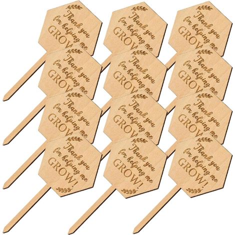 20 étiquettes en bois pour plantes succulentes de jardin (1/5)