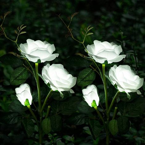 Lampe Solaire LED Grande Rose IP44 Étanche – Éclairage Extérieur pour Jardin Allée