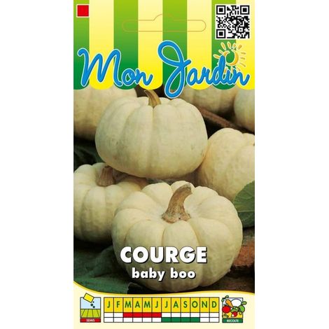 Courge Baby Boo - 3g