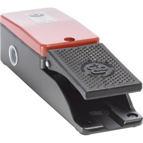 Bernstein F1-U1Z Interruptor de pedal robusto IP65