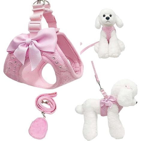 Ensemble Harnais et Laisse pour Petit Chien - Harnais Clouté en Diamant, Maille Douce et Respirante, pour Chiens et Chats Petits (1/5)