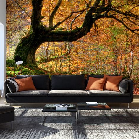 Fotomurale - Autunno, bosco e foglie - 450x270 (1/4)