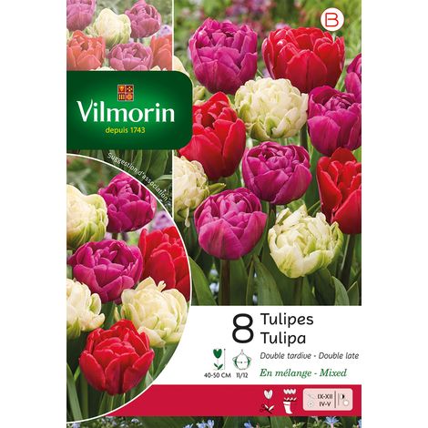 Vilmorin Tulipe Double Tardive en Mélange (x8) (1/3)