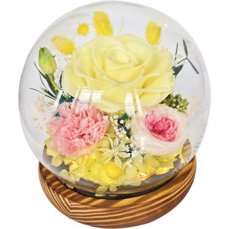 Flores preservadas bajo una cúpula de cristal: regalos para tu novia/esposa en el Día de Qixi, San Valentín, Navidad, graduación o cumpleaños.