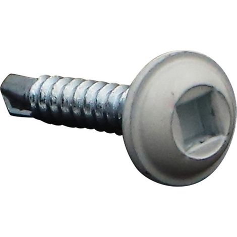 Vis PERCEUSE Tête ronde large Empreinte carré 2 3.5X20 Acier zingué RAL9010 blanc pur-1 pièce (1/3)