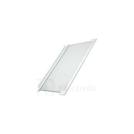 Clayette en verre complète (46 x 30 cm) pour Réfrigérateur ZANUSSI 2251639205 (1/3)
