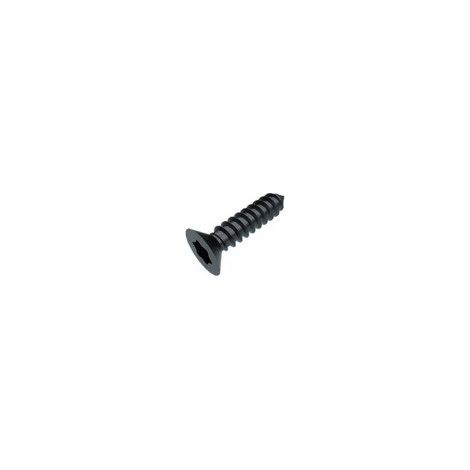 Vis tôle Tête fraisée TORX T20 4.2X19 Acier zingué noir-1 pièce