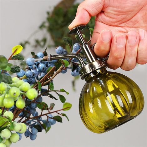 1 Pièce Arrosoir en Verre Vintage Laiton Pulvérisateur à Pression Rétro Citrouille Vaporisateur Antique Cuivre Arroseur Outils de Jardin avec Pompe sur le dessus pour Bonsaï Fleurs (1/4)
