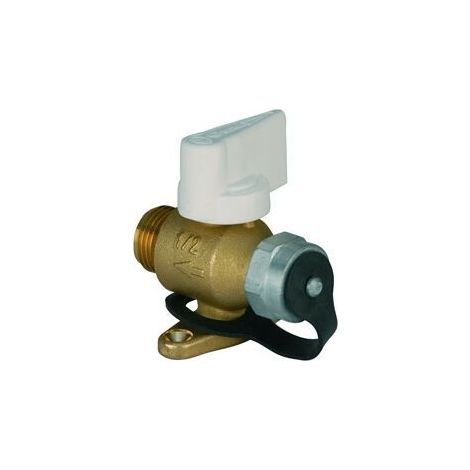 Robinet ROAI Mâle G (15/21) 1/2" + bouchon pour Gaz Naturel (1/3)