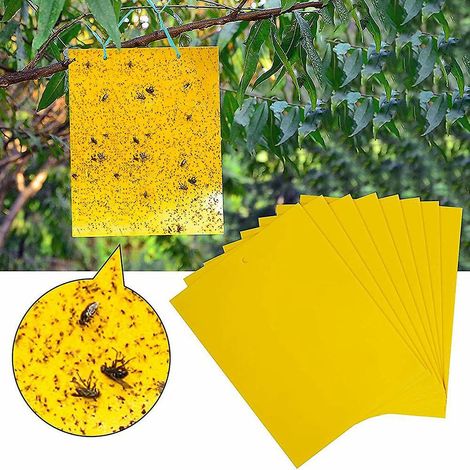 20 Pices Profession Piges Collants Double Face, Piges Insectes Volants Anti Blanc De Mouches, Pucerons, Mites Pour Jardin Plante Fleur Fruits, Av (1/5)