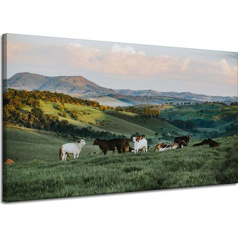 Leinwanddruck Natur Weide und Kühe 120x70