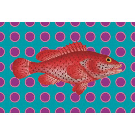 Tovaglietta All'Americana Plastica Pesce Rosso 44x30 cm