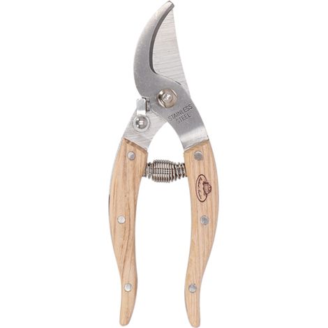 Sécateur en Inox pour Plantes d'Intérieur - Beige - H 16,9 cm - Livraison gratuite