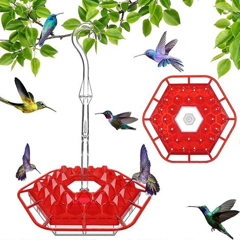 Mangeoire extérieure pour colibris 2023 avec fossé anti-fourmis et perchoir, 30 ouvertures, facile à nettoyer, pour cour ou jardin (1/5)