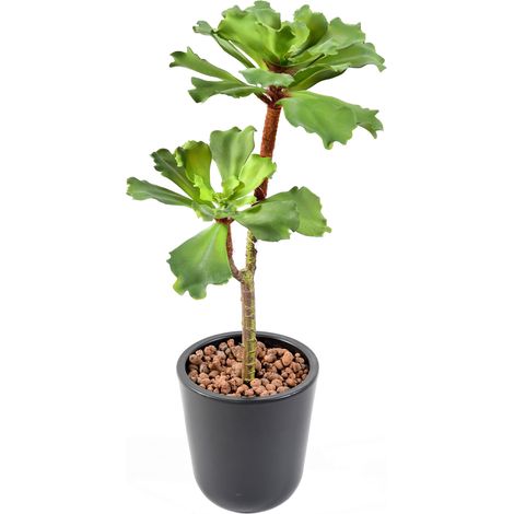 Plante artificielle haute gamme Spécial extérieur / SUCCULENT artificielle - Dim : 50 x 25 cm -PEGANE- (1/5)