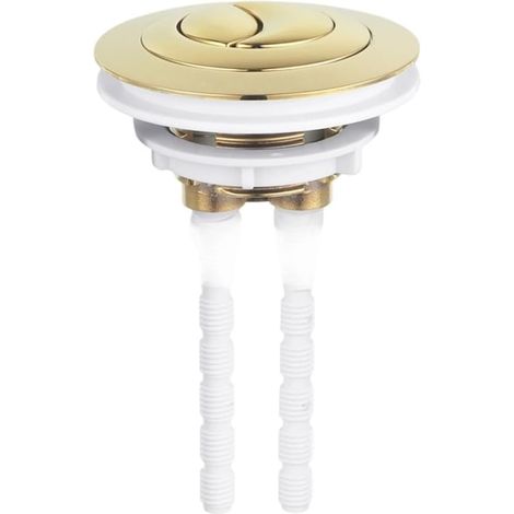 Bouton de chasse d'eau double conçu (1/5)