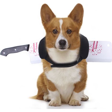 Costume Halloween pour chiens - avec effet coup de couteau (1/5)