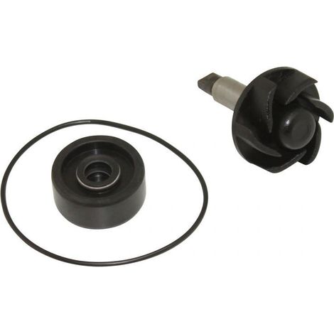 wasserpumpen-reparaturset für roller yamaha 125 majesty 1998 bis