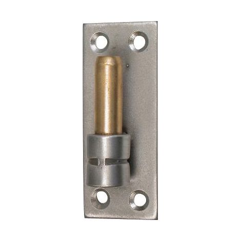 Gond sur platine droite inox 316 axe Ø 14 mm hauteur 100 mm - TORBEL INDUSTRIE