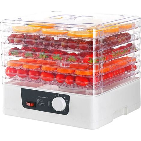 5-stufiger Dörrautomat, 350 W elektrischer Obsttrockner, Konservierungsmaschine für Rindfleisch, Gemüse, Obst, Fleisch – Weiß