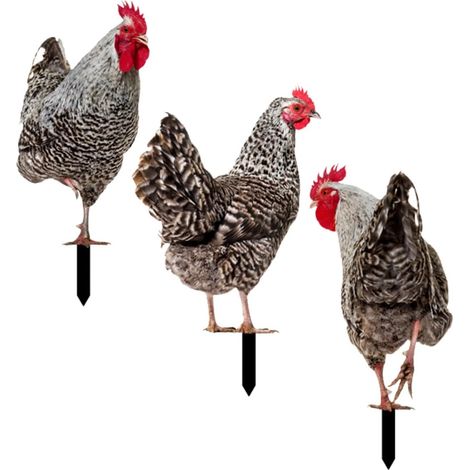 Hühnerpfähle mit Tierförmigen Steckpfählen Acryl für Draußen