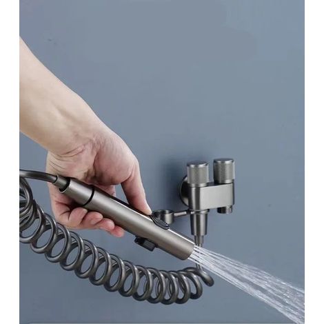 Inodoro con ducha de mano – Acero inoxidable cepillado – Presión de agua ajustable – Bidé para bebés y pañales de tela (1/3)